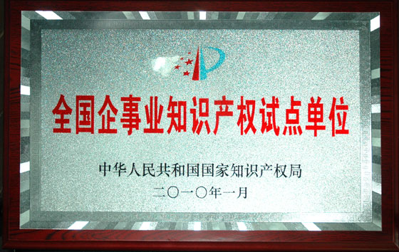 龙8集团被确定为“全国企事业知识产权试点单位”